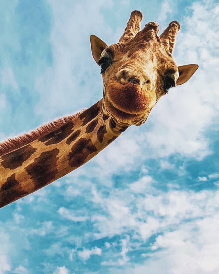 Thoughts for Tuesday